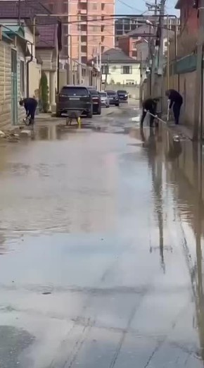 ����������� ��������� ���������� �������� ��������, ������������ �� �����������