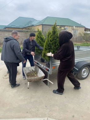 � ����������� ������ �������� ���������� ���������