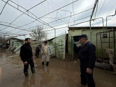 �� �� ������� ���������: ������������ ���������� � ������ ���� ���������� � ��������� ������������ �� �������� ������� ����������