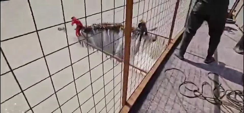 �� ��������� ��� ����������� ��� ���������� � ������������� ���, ��������� � �������������� ����������������� ���������� �����-����, ��������� ������ �� ������� ���������� ������� ���������� ���������� �� ����� � ������ �...