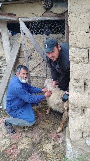 ���������� �������� ������������ ����� � �������������� ������