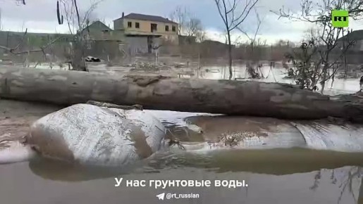 ������ ������ ����������� ������ ��� ������ �� ���������, ������������ �� ����������