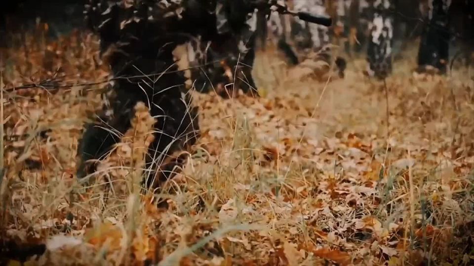 �� 30 ���� ������������ � ���������� �������� ������������� �������������� ������� ��� �������, ����������� �������� � ������ ������� �� 1 ��� � ����� � ��������������� ������������� �������������� �������� ������� � �������...