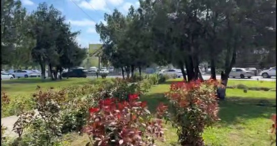 � ��������� � ����� ������� ����� ������� ������