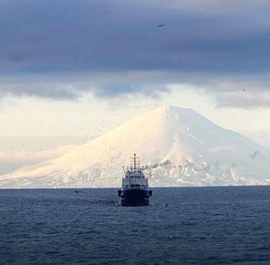 ����������� ������: �������������� ����� �������� 1,6 ��� ����