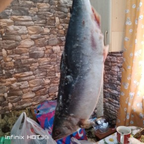 ��� ������ ���� �������� � ����: ������ ������ �� ��������