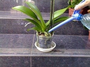 ��� ��������� �� �������� ����������: ������� ��������� ������