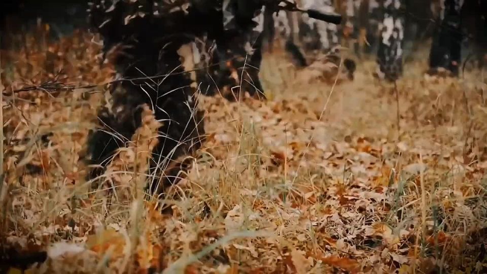 �� 30 ���� ������������ � ���������� �������� ������������� �������������� ������� ��� �������, ����������� �������� � ������ ������� �� 1 ��� � ����� � ��������������� ������������� �������������� �������� ������� � �������...