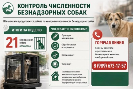 ������������ �������� ����� ������������ ��� ������� �� ������ � ��������� ���������