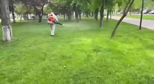 �������� ������ � ������� ��������� ������� ������ �� ������������-����������� ��������� � ����� ��. �. ����������