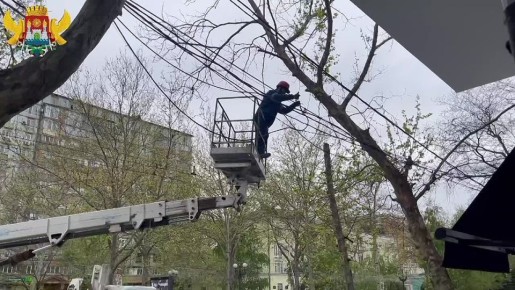 ������������ � �������������� ��������� �����