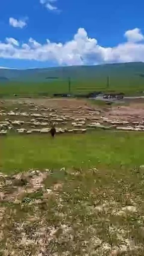 � ��������� ��������, ���������� ������� � ����� ���� � ������� ���� �� ���, ����� ������� ��������� ������, ������� ������� �