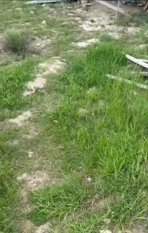 ��������� �������-����� ���������� � ����� ���������
