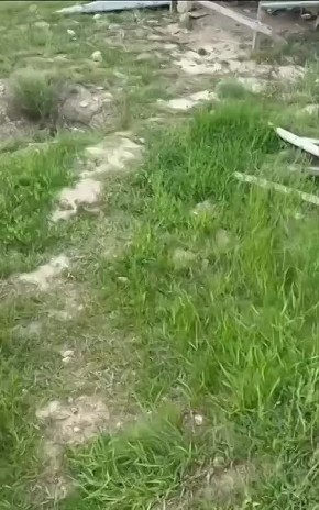� ���� ���������� ������������� ������ ���������� ��� ���� ���������� �������-�����