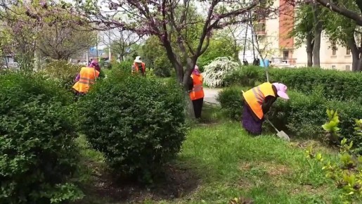 � ��������� ������������ ���������� ������ �� ���������� � ���������� �������� �����