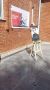 � ����� � �������� �������������� ��������� ������ �����������, ������������ �� ��� ������
