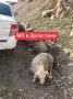 ������� � ���������� ������ ��������� ��������� ���: �������� ����� � ��������, ������������ �������, ������ � ������ � �����������