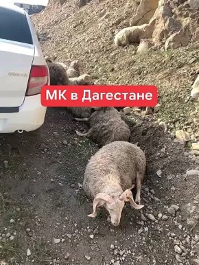 ������� � ���������� ������ ��������� ��������� ���: �������� ����� � ��������, ������������ �������, ������ � ������ � �����������