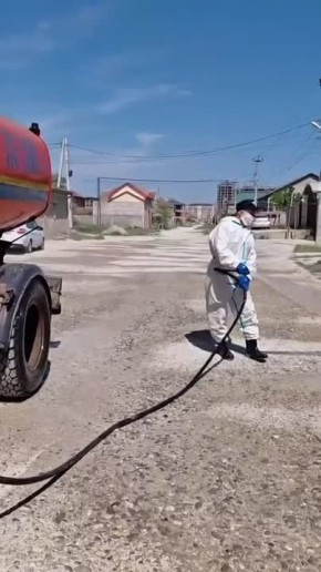 � ������ ���������������� �����������, ������������ �� ����������� ���������-������������������� ������������, ���������� �������������� ���������� ���������� ���������������������������� ����������� ��������� ��������