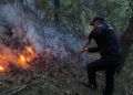 Специалисты МЧС и Даглесхоза локализовали ландшафтный пожар в Гумбетовском районе