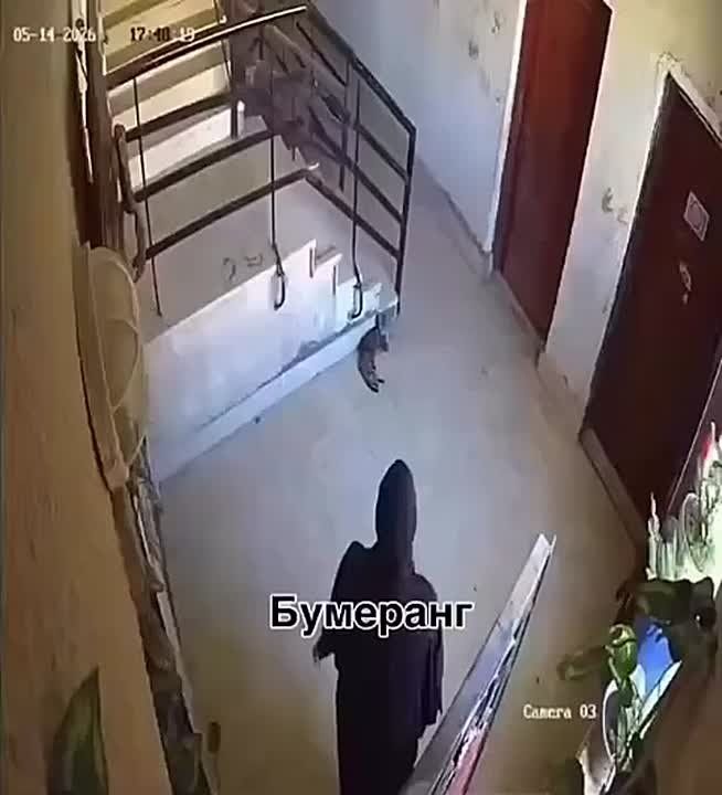 Девушка ударила кошку ногой, и тут же получила мгновенную карму