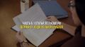 Что грозит за призыв и участие в несанкционированных митингах?
