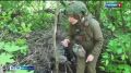 28 ��� � ���������������� �������� ���, ��� ��������� ���� �� ������� ������