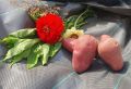 Картофель Калинка: секреты высоких урожаев и отменного вкуса