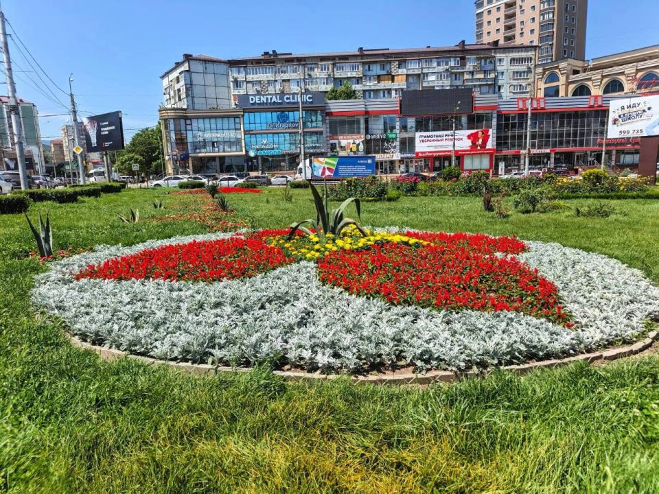В районе троллейбусного кольца в Махачкале посадили цветы и зелёные насаждения В районе троллейбусного кольца в Махачкале посадили цветы и зелёные насаждения