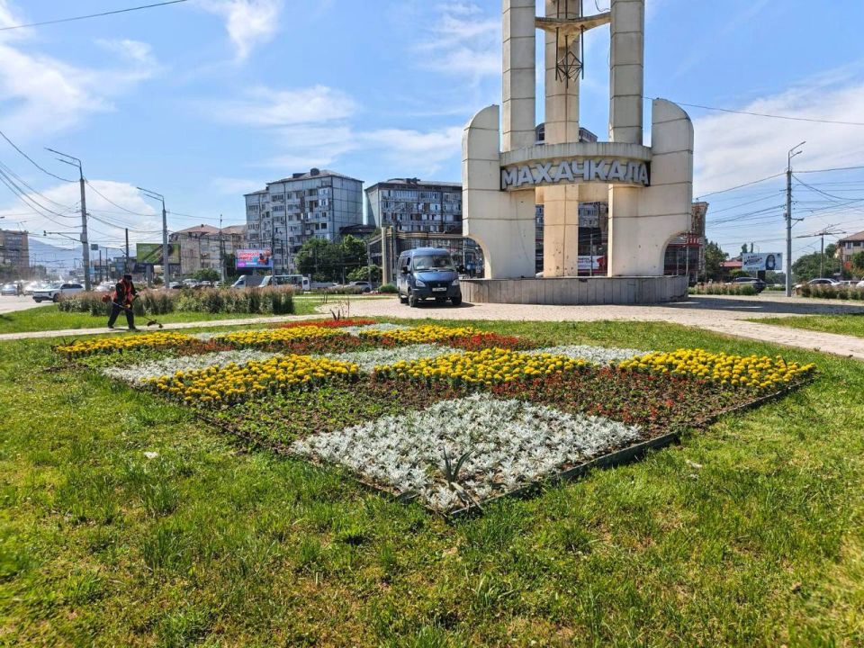 В районе троллейбусного кольца в Махачкале посадили цветы и зелёные насаждения