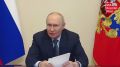 Спонсоры киевского режима вводят санкции против организаций, где проводят лето российские дети, заявил Путин