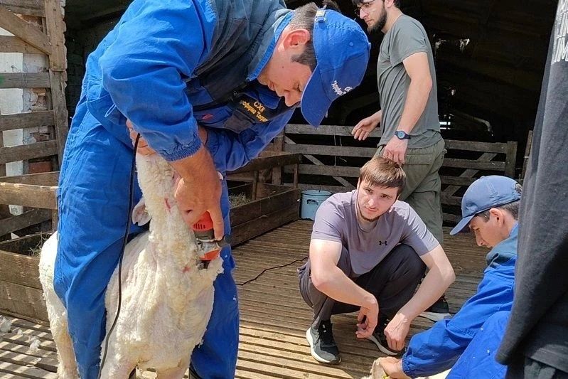 На базе СПК «Джурмут-1» Тляратинского района прошли практические занятия для студентов Дагестанского государственного аграрного университета На базе СПК «Джурмут-1» Тляратинского района прошли практические занятия для студентов Дагестанского государственного аграрного университета