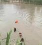 В Дагестане ведутся поиски утонувшего в реке Терек подростка