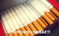 ��� ������� ������ �����: ������ � �������� � �������� �����������