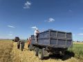 В Дагестане первыми в России приступили к уборке озимых зерновых культур