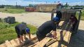 Игорь Кастюкевич: Республика Дагестан. Волонтерский лагерь "Дагестанский Рубеж", работает еще и как логистический центр, сформированный по линии партии «Единая Россия»