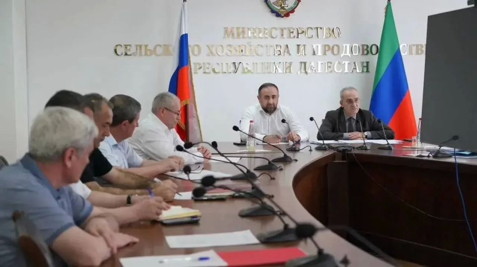 В Дагестане обсудили реализацию нацпроектов и меры господдержки аграриев