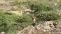������� ���������, ������������ ������������� ���������, ������� �������������� ����� ��� �������� ����� �� ��������� ����� ���� �����, ������������ �� ��������