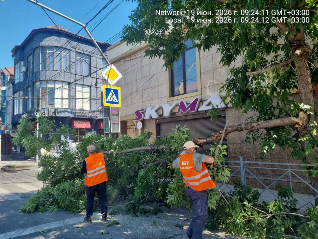 Сотрудники МБУ «Благоустройство» провели сезонное омоложение и спил аварийных деревьев на улицах Гагарина, Генерала Омарова, Абубакарова, Коркмасова Сотрудники МБУ «Благоустройство» провели сезонное омоложение и спил аварийных деревьев на улицах Гагарина, Генерала Омарова, Абубакарова, Коркмасова