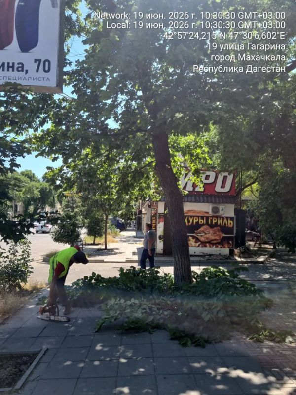 Сотрудники МБУ «Благоустройство» провели сезонное омоложение и спил аварийных деревьев на улицах Гагарина, Генерала Омарова, Абубакарова, Коркмасова Сотрудники МБУ «Благоустройство» провели сезонное омоложение и спил аварийных деревьев на улицах Гагарина, Генерала Омарова, Абубакарова, Коркмасова