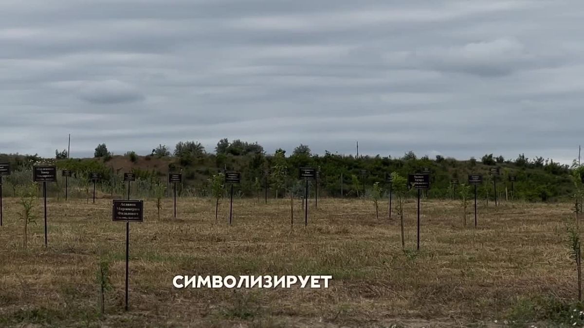 «Пока мы помним — герои живы»: Фёдор Щукин открыл Сад памяти в Магарамкентском районе