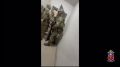 � ��������� ���������� ��������� ���� � ������� ����� 82 ��������� ������, ���������� �� ������������� ���������������������� ��������