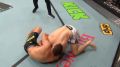 ��� ��� ����� �� ���������, ����������� �� ������� UFC � ����, �������� ������: