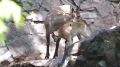 � ���������� �������� �������� ������ ��������� ������������� ����