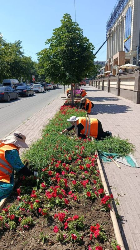Специалисты МБУ «Благоустройство» провели комплексные работы по уходу за зелеными насаждениями Специалисты МБУ «Благоустройство» провели комплексные работы по уходу за зелеными насаждениями