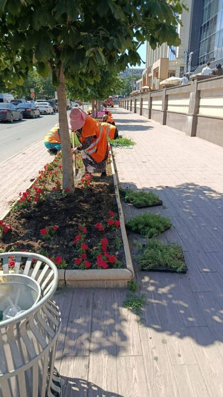 Специалисты МБУ «Благоустройство» провели комплексные работы по уходу за зелеными насаждениями Специалисты МБУ «Благоустройство» провели комплексные работы по уходу за зелеными насаждениями