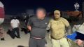 � ��������� ������� ���, ���������� 110 ���� �����