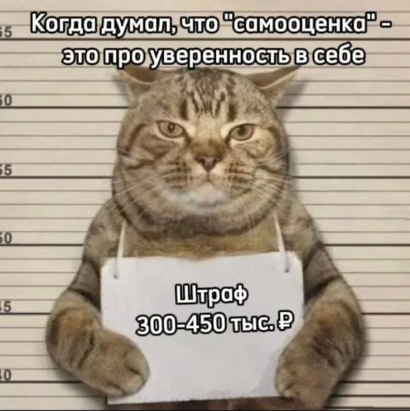 Протоколы об административных правонарушениях составлены в отношении владельцев средств размещения