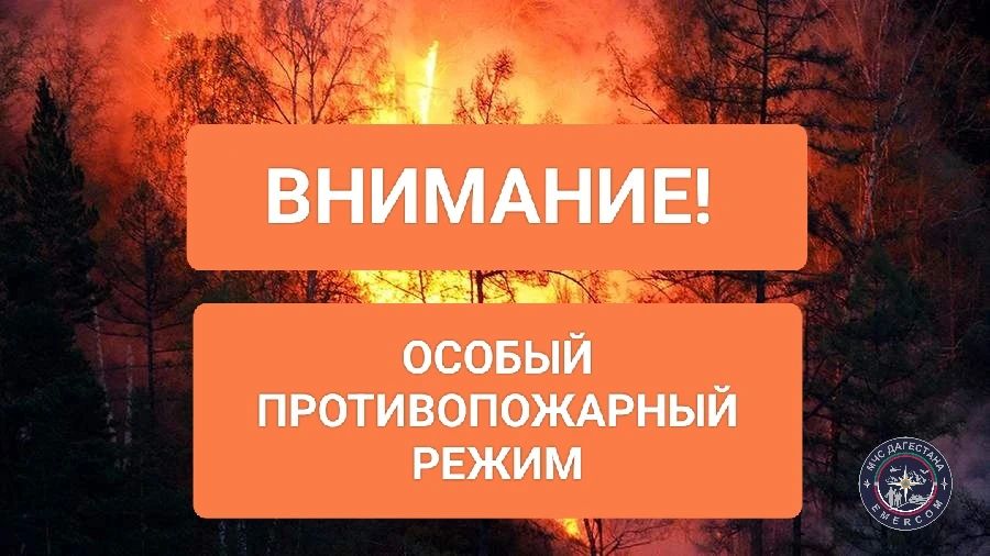 МЧС Дагестана напоминает, что на всей территории республики Дагестан действует особый противопожарный режим, установленный постановлением Правительства Республики Дагестан от 16 марта 2026 г. № 50