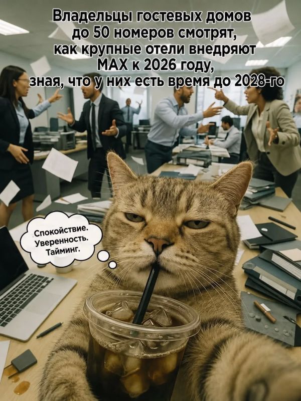 Цифровое заселение через МАХ: публикуем инструкцию для средств размещения